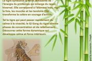 Stage de Qi Gong du Printemps 12/04/2026 - Le Tigre Spontané