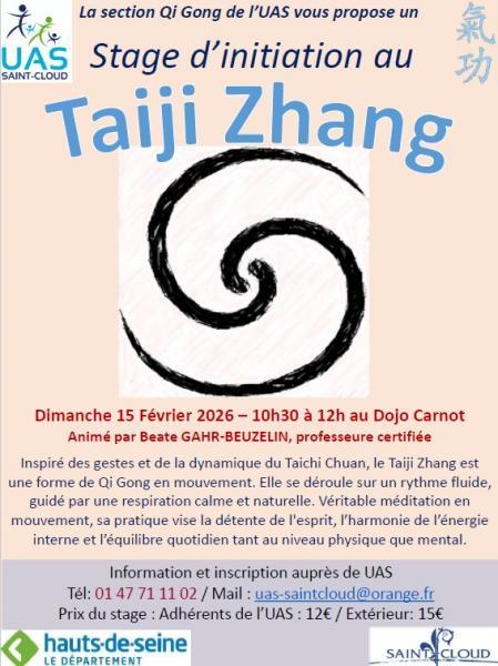 Stage de Taiji Zhang 15 février 2026